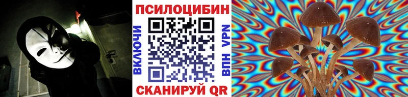 Псилоцибиновые грибы мицелий  Калач-на-Дону 